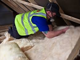 Best Insulation for Existing Homes  in Little Chute, WI